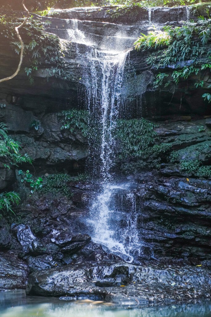 滝