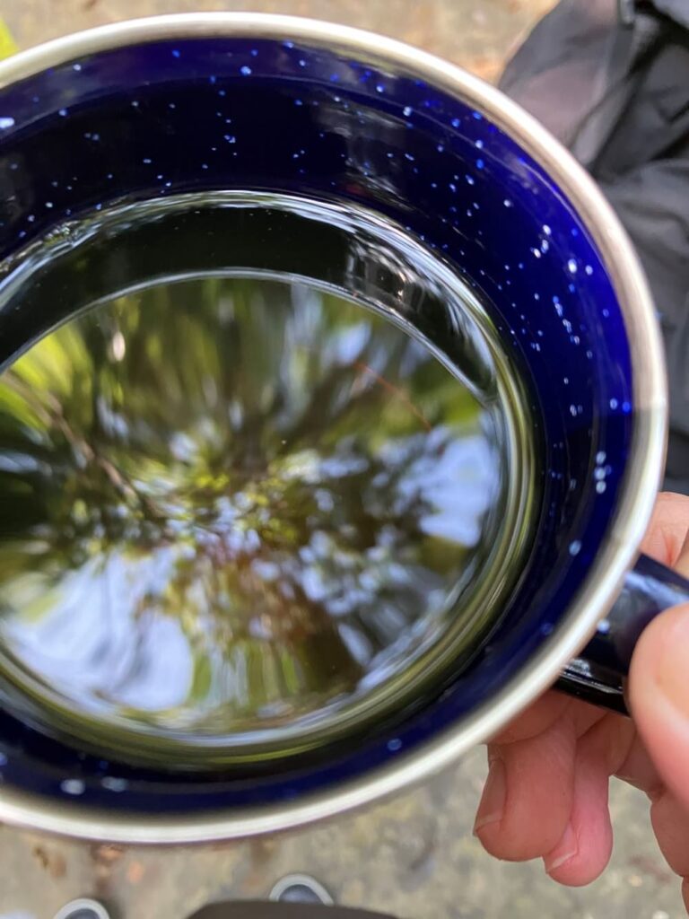 さんぴん茶にうつる空と木々